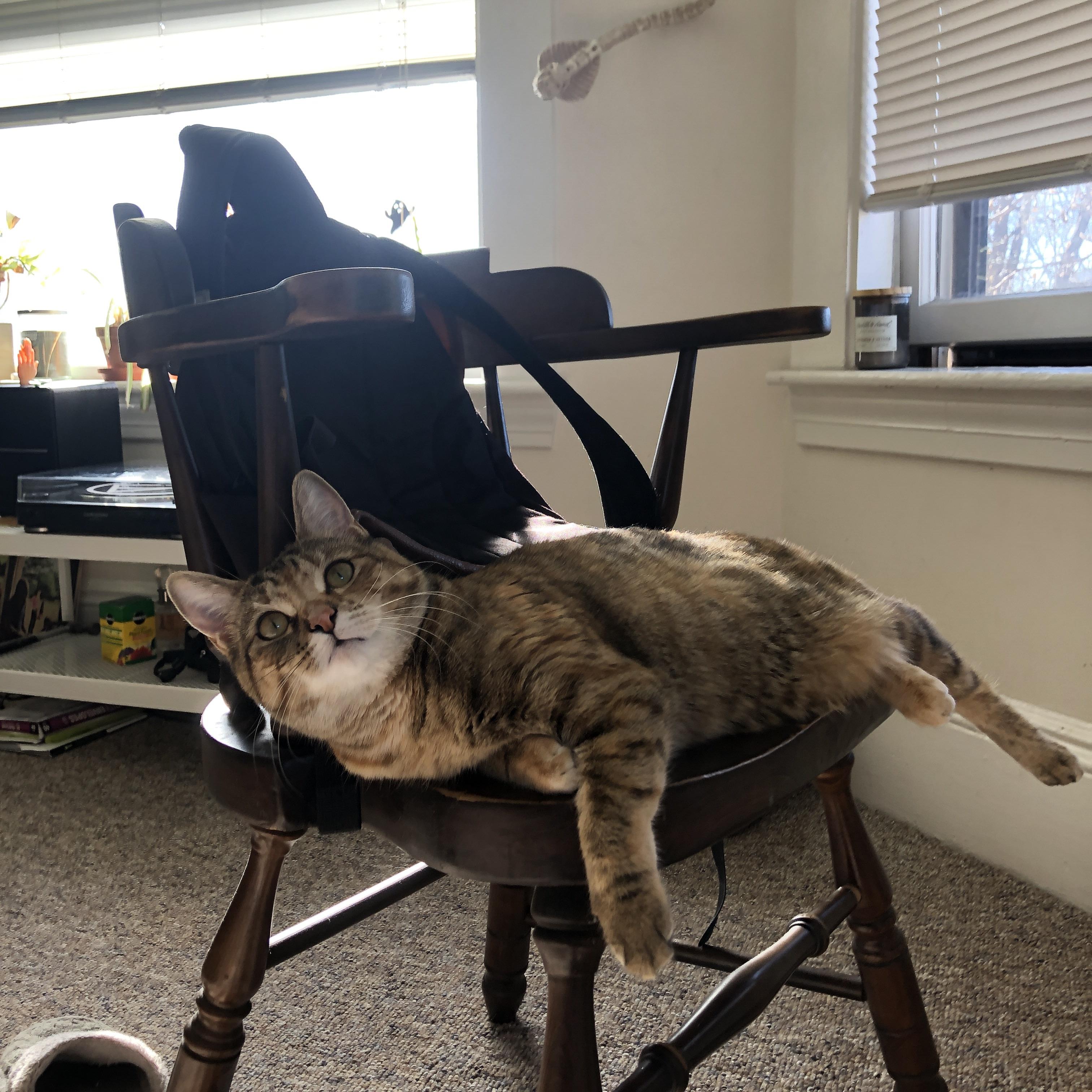 开云官网-世界象棋联合会主席霍震霆:用象棋讲好中国故事,世界象棋大师赛