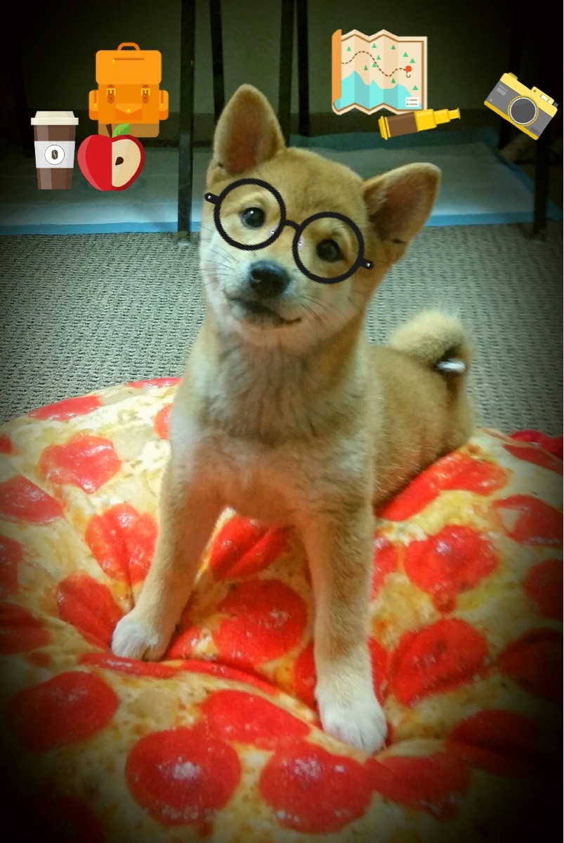 kaiyun开云·官方网站-西甲强队对决,专家分析关键数据,西甲强队排名