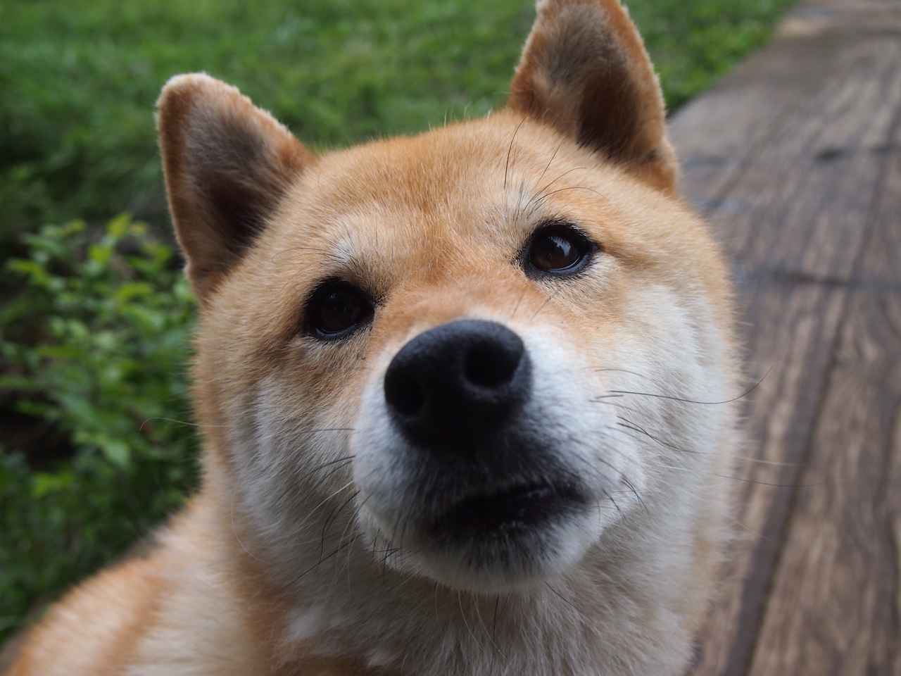 kaiyun开云·官方网站-是否应给发展联盟更多曝光机会，是否应给发展联盟更多曝光机会呢