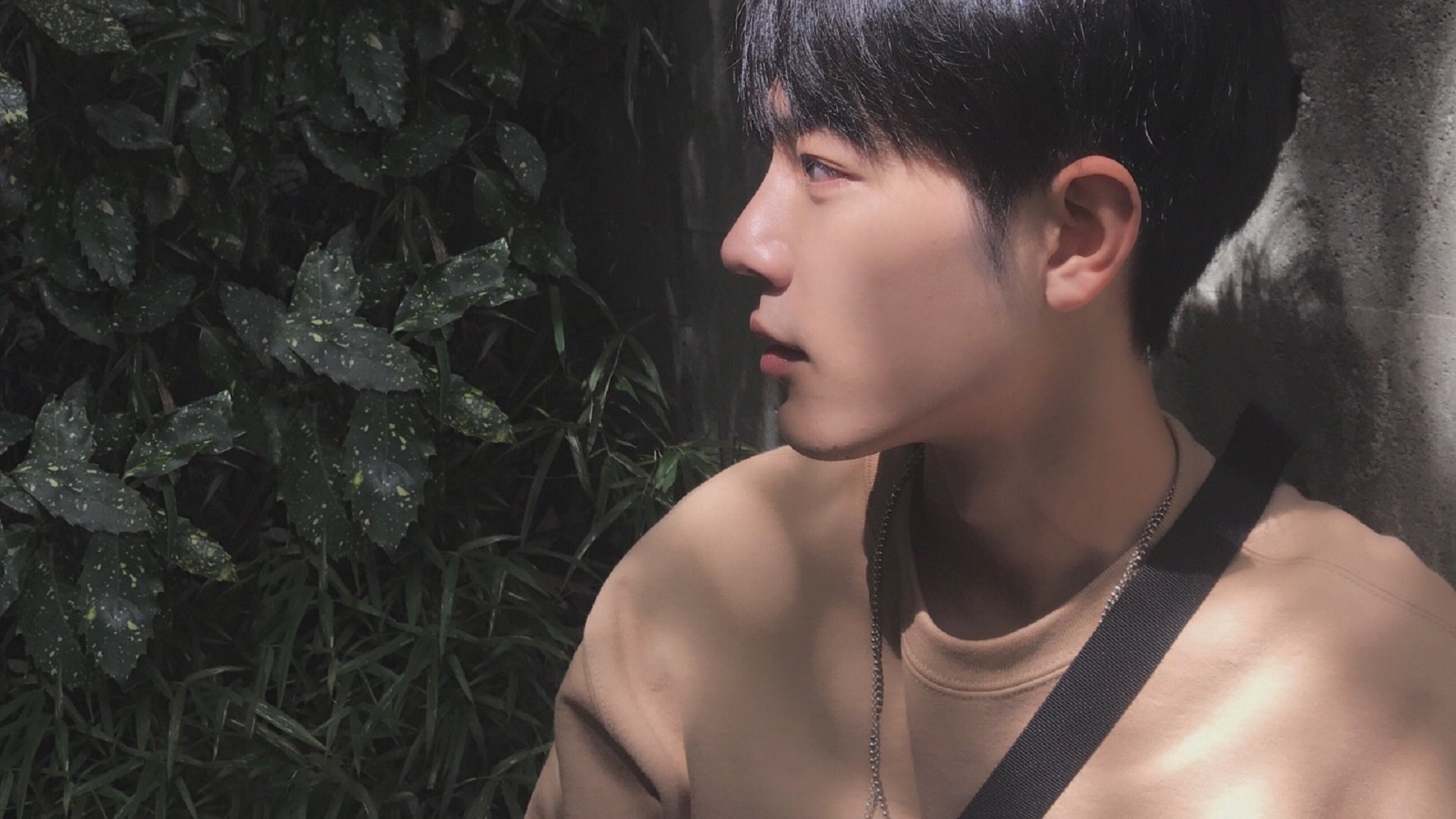 kaiyun官方网站-沃尔夫斯堡签下新后卫，加强防线防守能力，沃尔夫斯堡 阵容