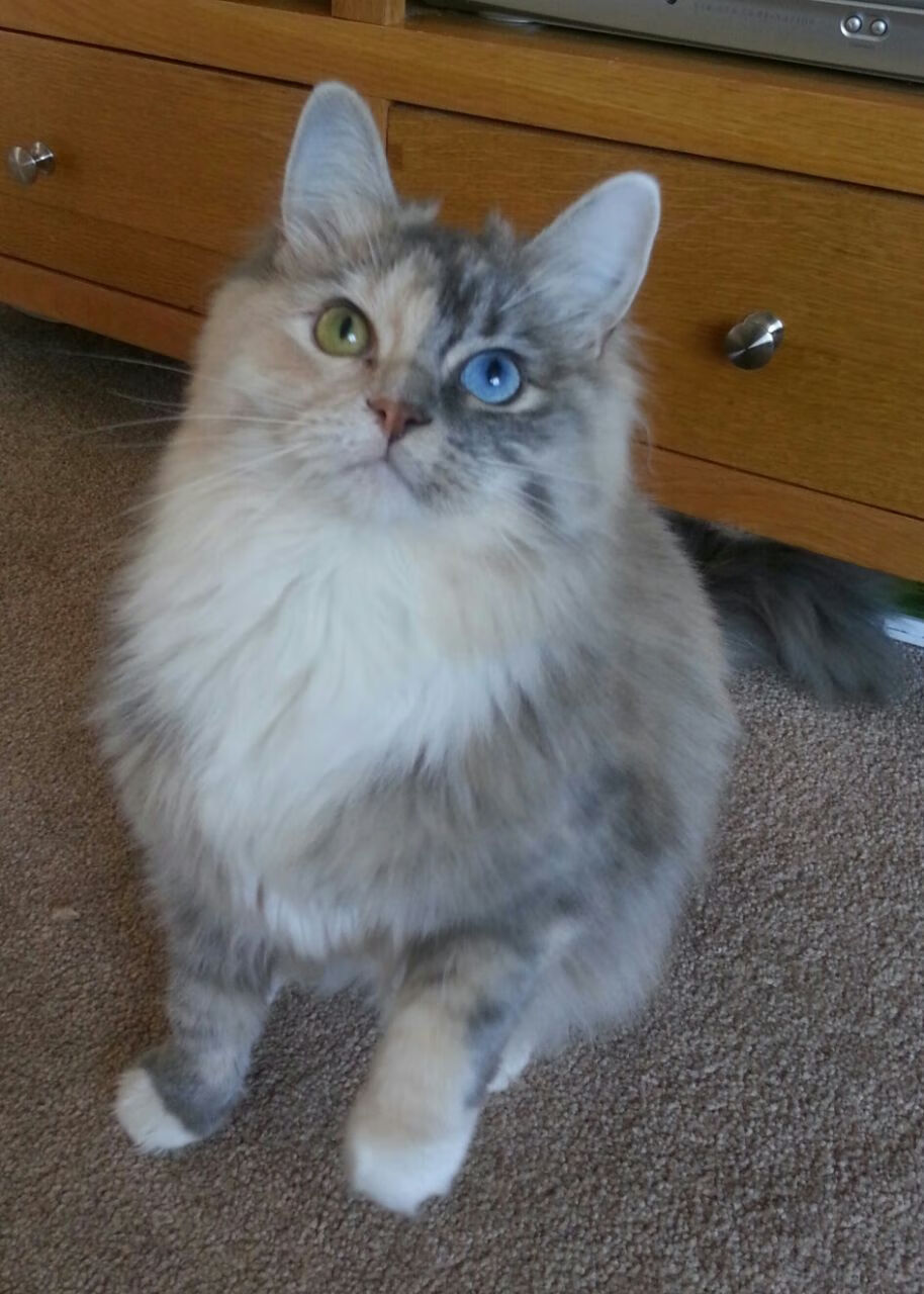 kaiyun官方入口登录-战术节奏趋于稳健,前快后稳成主基调,战术前摇是什么