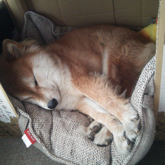 开云官网APP下载-西甲破门瞬间:精彩绝伦,震撼全场!,西甲pro