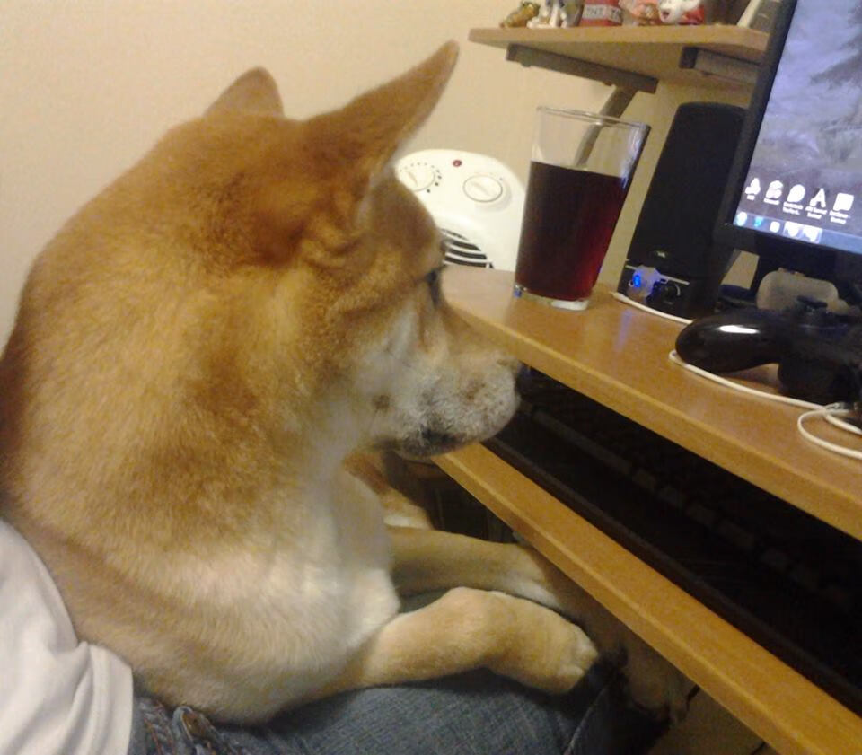 开云入口-青少年篮球纪录片开播真实记录成长与拼搏感动无数网友，篮球少年纪录片观后感